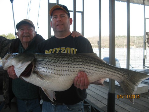 Nice Striped Bass